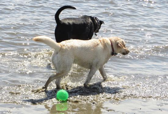Fisherman's Cove Conservation Area
